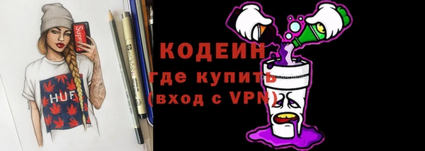 крисы Абаза