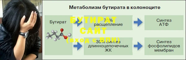 сатива Билибино