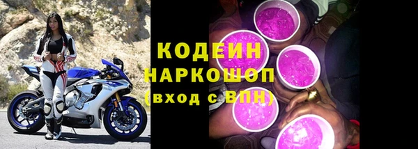 крисы Абаза
